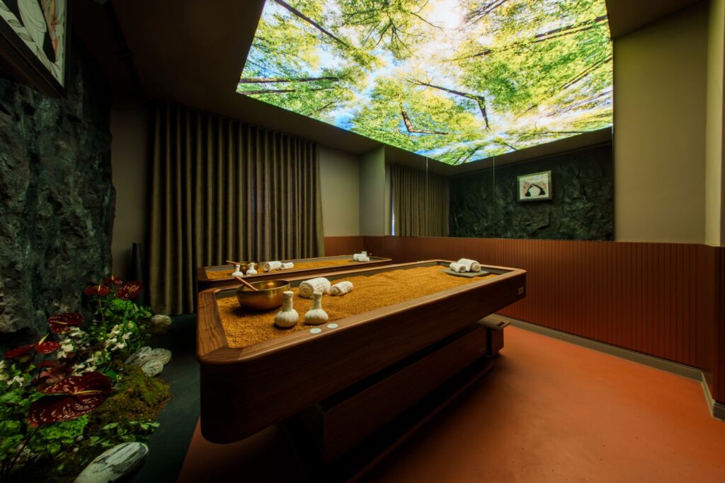 Camera de Pământ la The Elements Luxury Boutique Spa